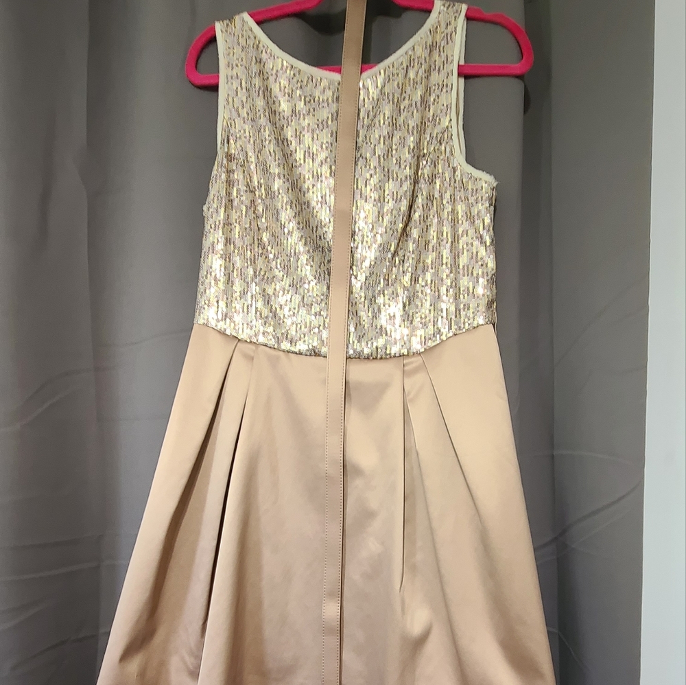 NWT Sz 12 The Limited Party Dress